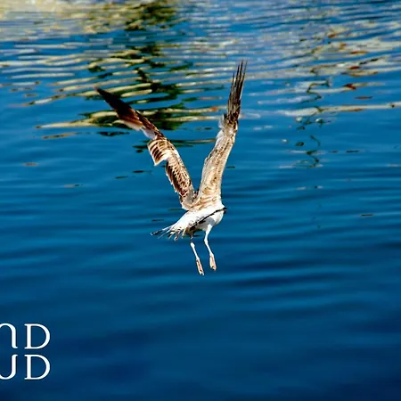 Les Jardins Du Port Port Camargue Avec Piscine à 2 Pas De La Le Grau-du-Roi