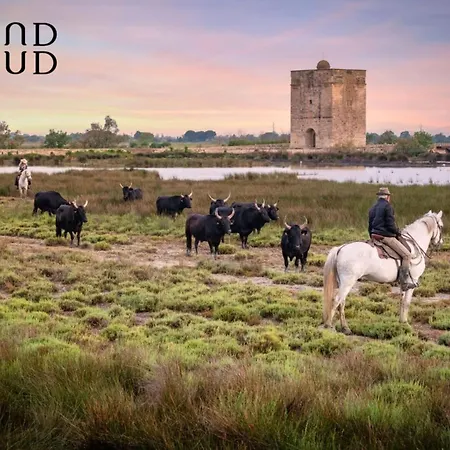 Les Jardins Du Port Port Camargue Avec Piscine à 2 Pas De La * Le Grau-du-Roi
