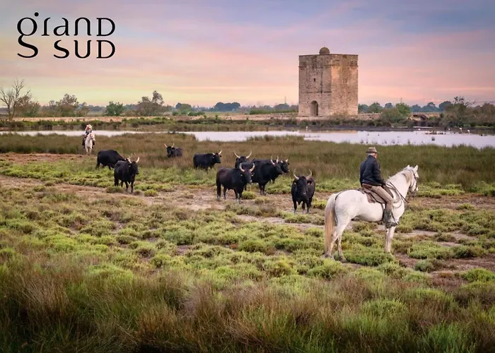 Les Jardins Du Port Port Camargue Avec Piscine à 2 Pas De La * Le Grau-du-Roi