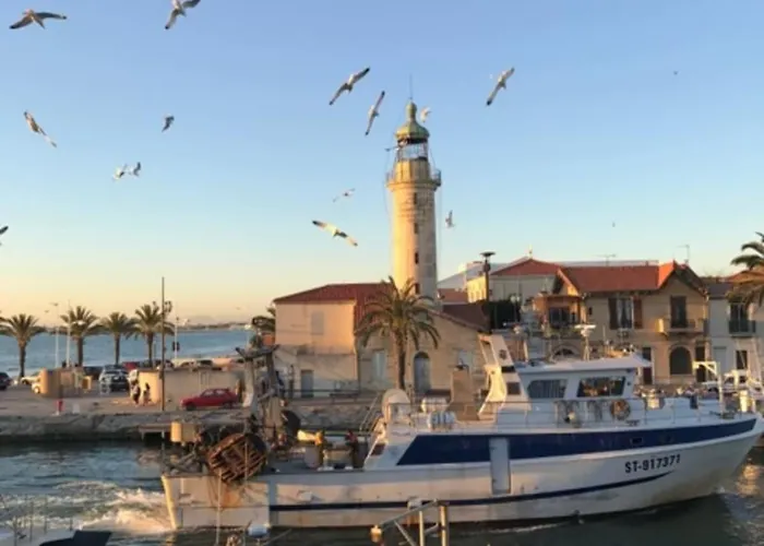 Les Jardins Du Port Port Camargue Avec Piscine à 2 Pas De La