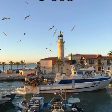 Les Jardins Du Port Port Camargue Avec Piscine A 2 Pas De La